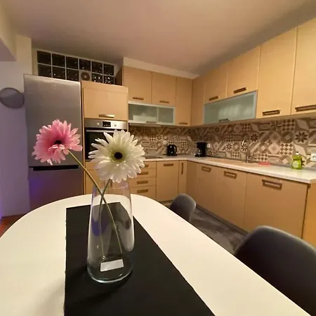 Apartment Elaiorama